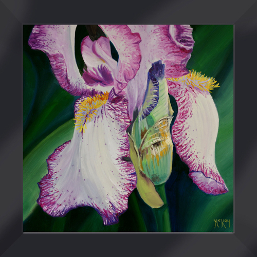 Click to view detail for Iris Splendor 10x10 $500