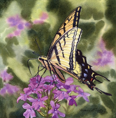 Swallowtail 8x8 $448 at Hunter Wolff Gallery