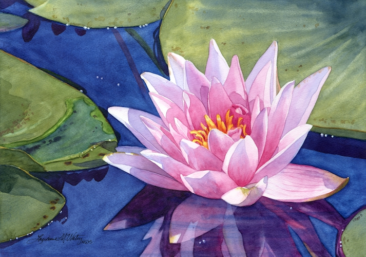 Water Blossom 10x14 $1120 at Hunter Wolff Gallery