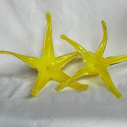 Click to view detail for DG-194 Sea Star Yellow $87