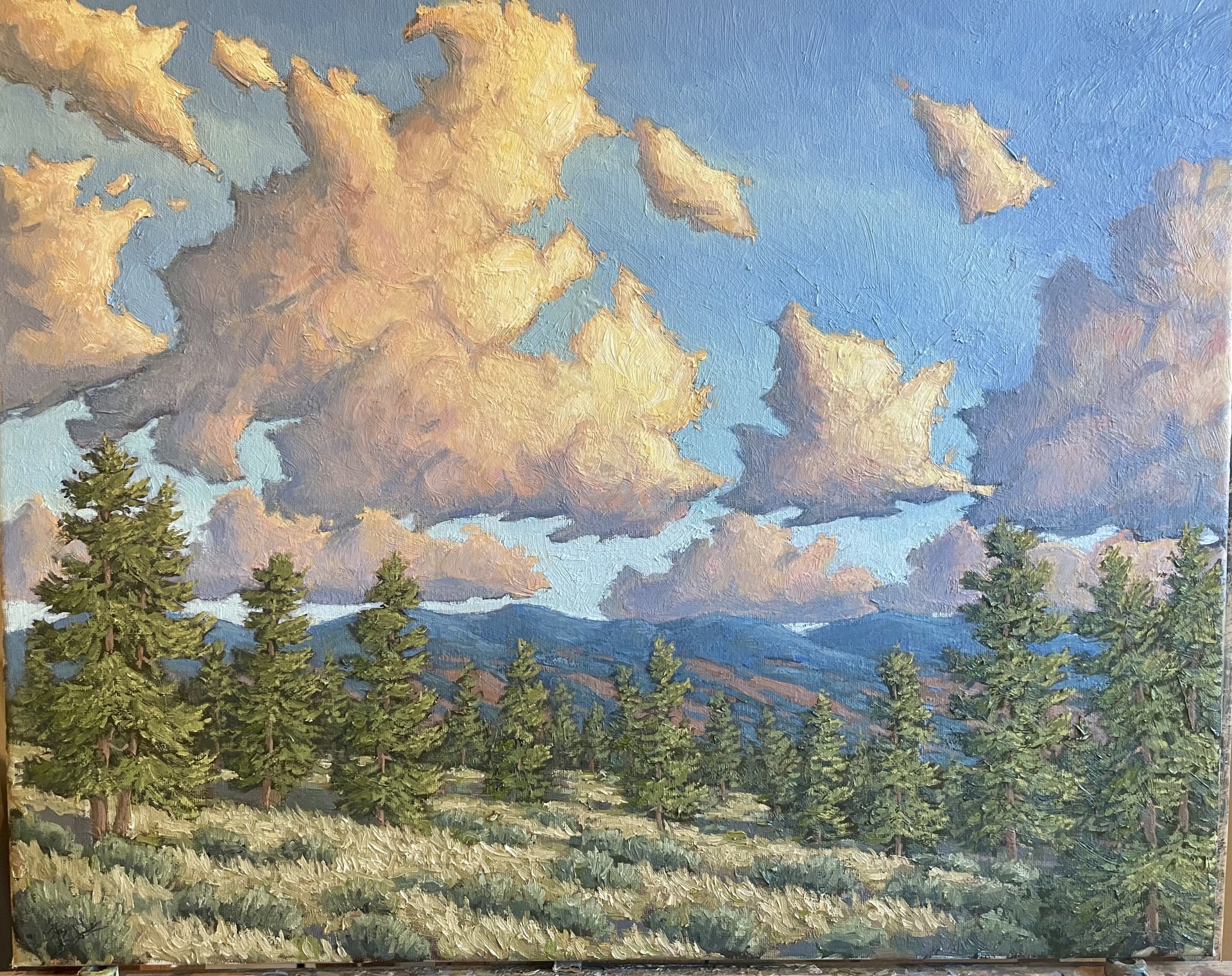 Afternoon Light 16x20 $1350 at Hunter Wolff Gallery