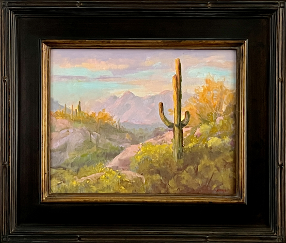 Click to view detail for Sunlit Saguaro 11 x 14 $640