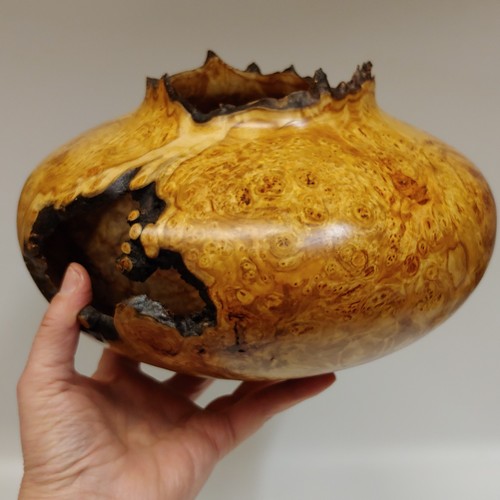 JW-202 Aspen Burl Hollowed Vessel 7.25x10 $600 at Hunter Wolff Gallery