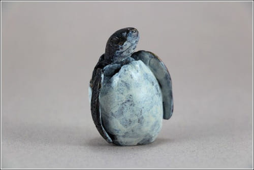 Click to view detail for FL049 Baby Sea Turtle Hatching