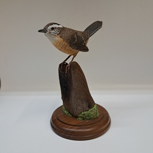 Click to view detail for Carolina Wren 7.5x4.5x4.5 $975