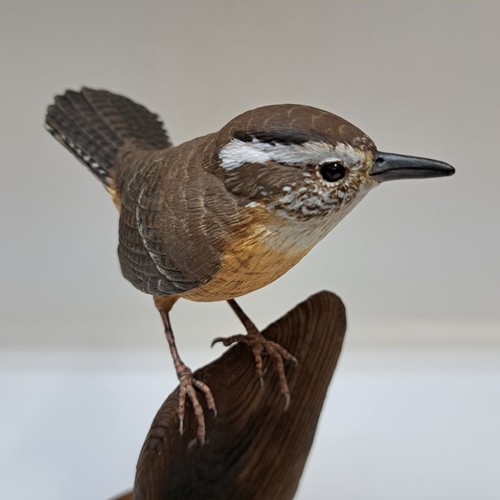 Carolina Wren 7.5x4.5x4.5 $975 at Hunter Wolff Gallery
