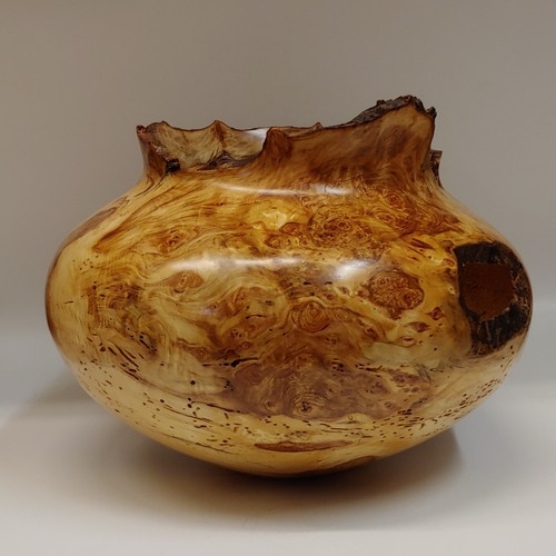 Click to view detail for JW-209 Aspen Burl Hollowed Wood Vessel $950