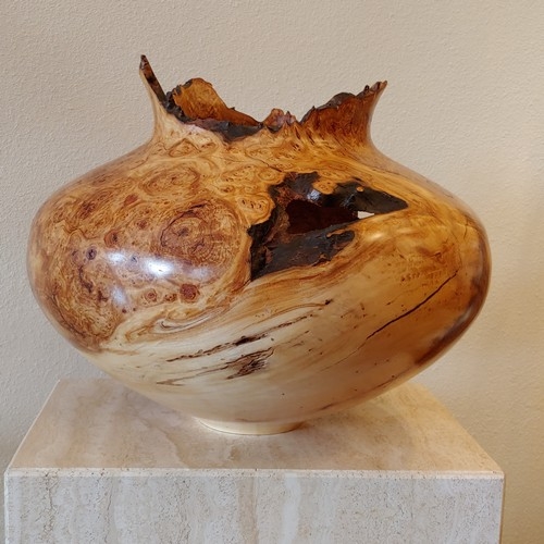 Click to view detail for JW-211 Aspen Burl Hollowed Vessel $1800