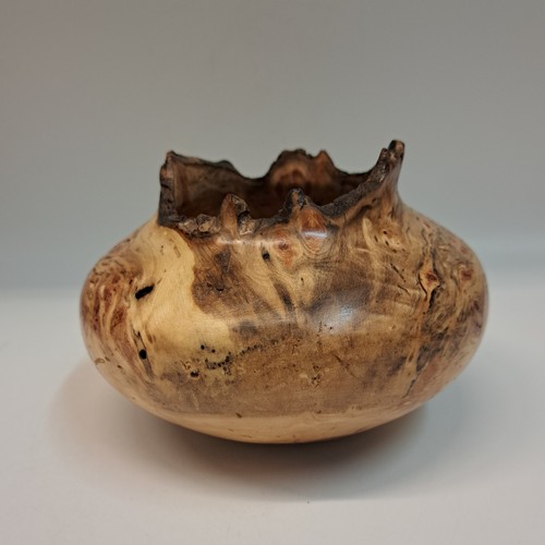 Click to view detail for JW-226 Aspen Burl Hollow Woodturning 4 x 5.25 $150