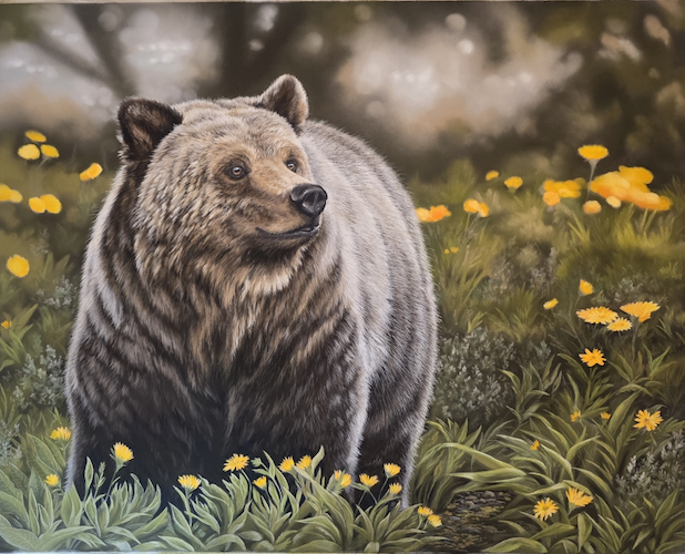 Click to view detail for The Bear's Garden 16x20 $1900