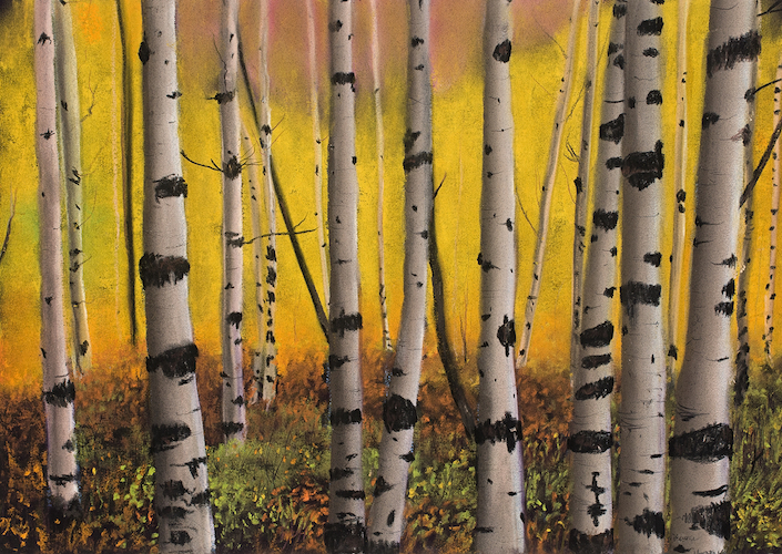 A Walk In The Aspens  16 x 11  $1600 at Hunter Wolff Gallery