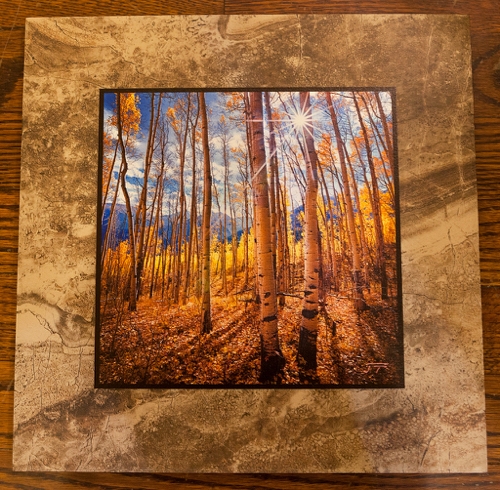 Click to view detail for Aspen Cathedral 12x12 $90
