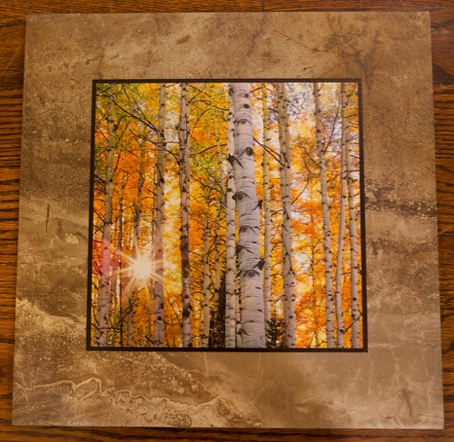 Click to view detail for Aspen Sunburst 12x12 $90