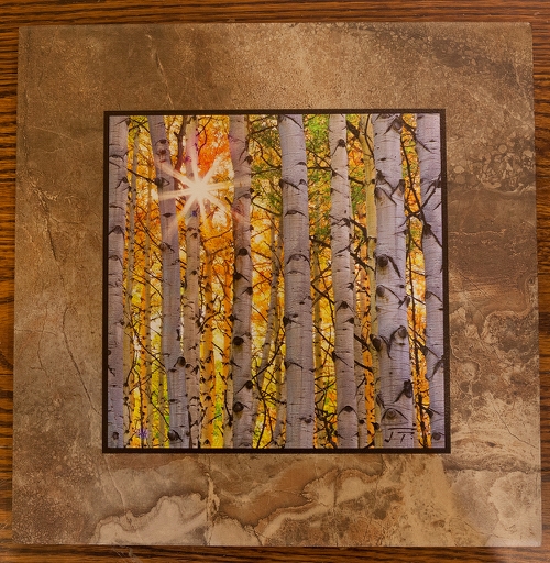 Click to view detail for Aspen Sunburst 2 12x12 $90