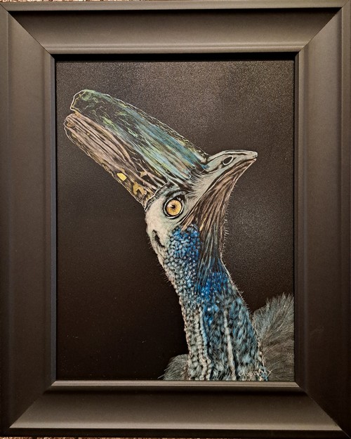 Australian Cassowary 12x9 $420 at Hunter Wolff Gallery