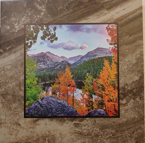 Click to view detail for Autumnal Symphony  12x12 $90