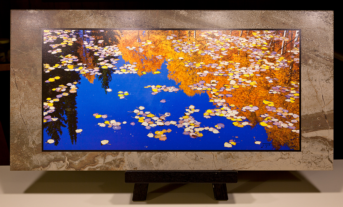 Click to view detail for Autumnal Lily Pads 12x24 $180