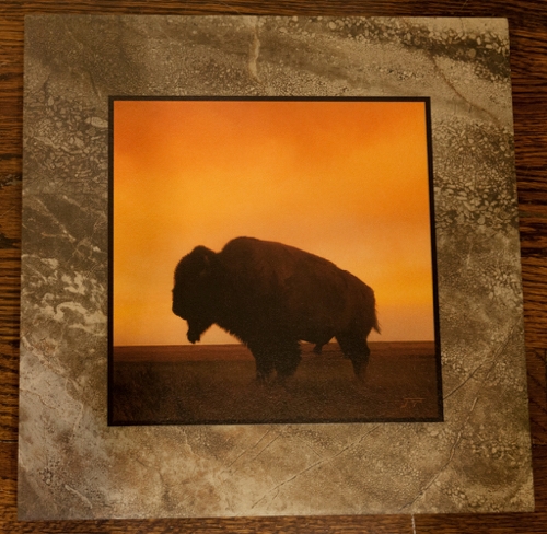 Click to view detail for Bison 12x12 $90