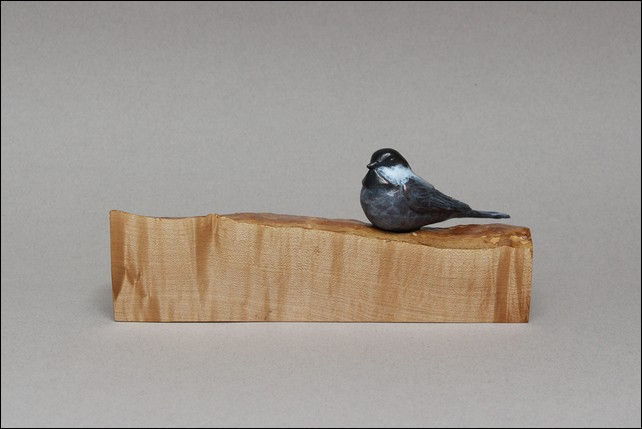 Click to view detail for FL042 Chickadee on Maple