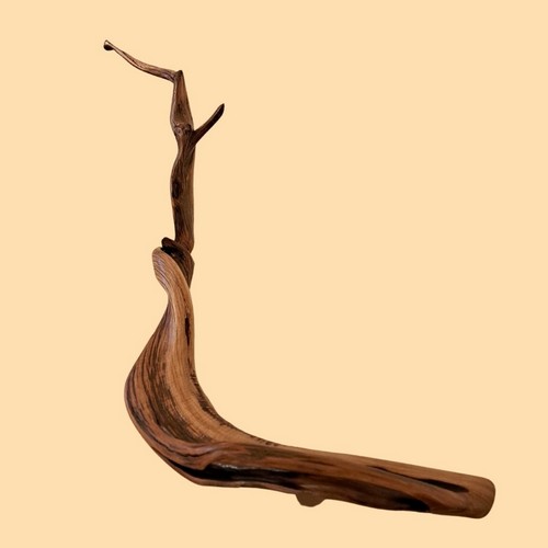 TC-010 Juniper Tree Sculpture 30