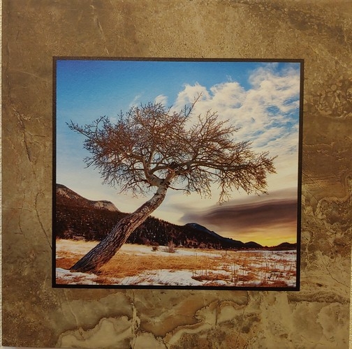 Click to view detail for Desolate Beauty 12x12 $90