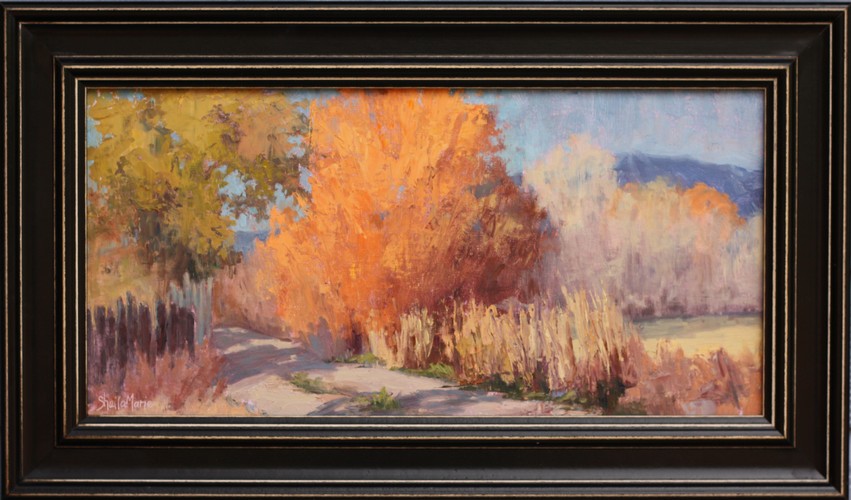 Click to view detail for Driveway to Lower Ranchitos 8x16 $515