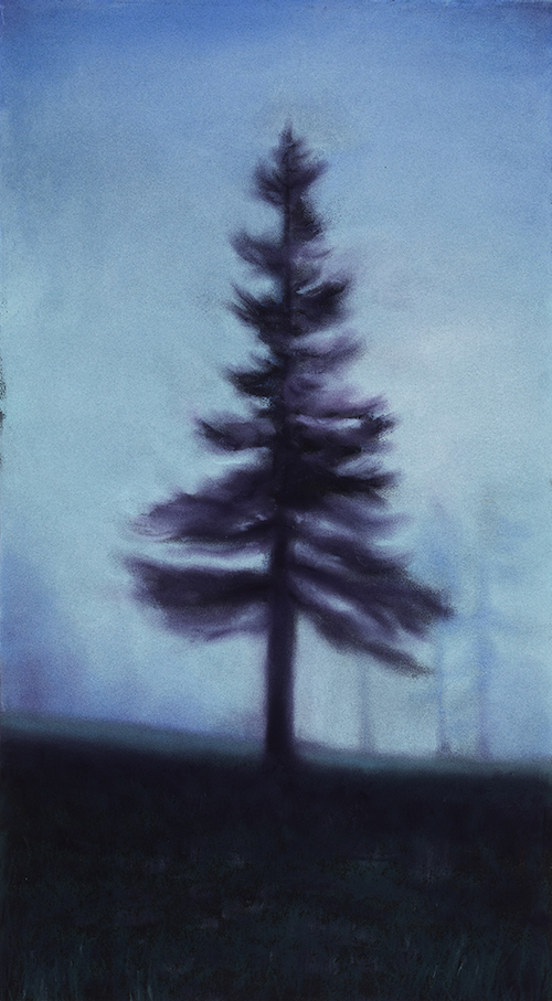 Forest Whispers 18 5/8 x 10 1/2  $1800 at Hunter Wolff Gallery