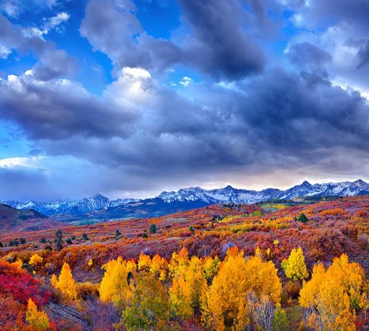 Click to view detail for Gathering Storm 40x36