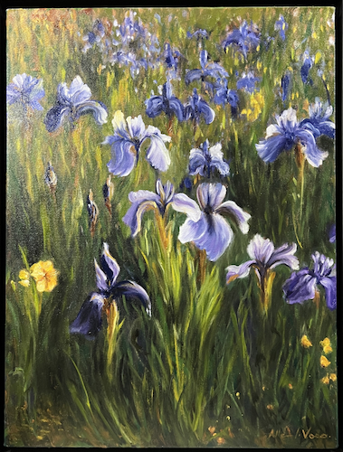 Click to view detail for Irises 24x18 $1800