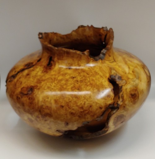 Click to view detail for JW-186 Aspen Burl Hollowed Vessel $1400