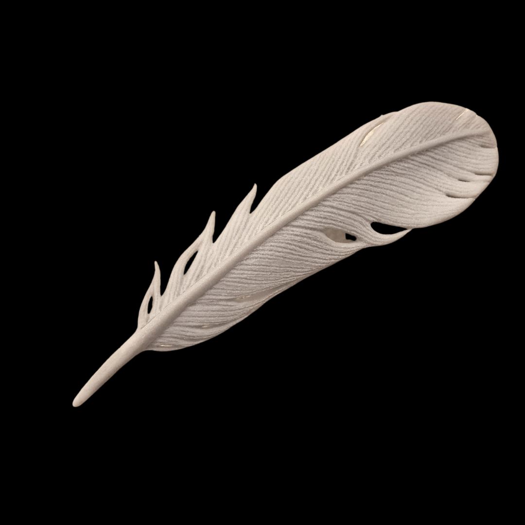 Click to view detail for LM-011 Dove Feather 6x1.75 $150