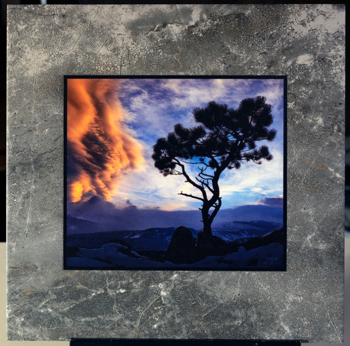 Click to view detail for Ponderosa and Storm Clouds Over Longs Peak 12x12 $98