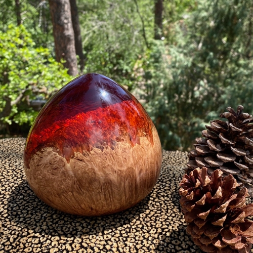 SH185 Red Teardrop Red Mallee Burl $400 at Hunter Wolff Gallery