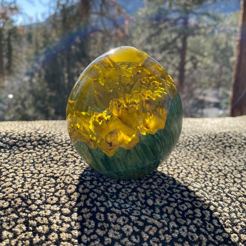Click to view detail for SH198 Teardrop Yellow & Maple Burl $200