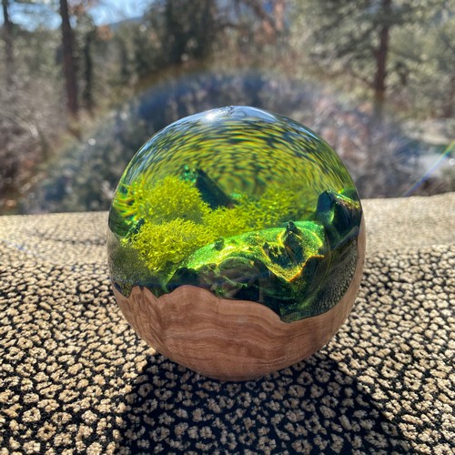 Click to view detail for SH199 Teardrop Green & Maple Burl $200