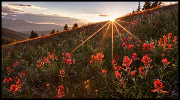 Click to view detail for Shrine Ridge Sunset 12x24 $195