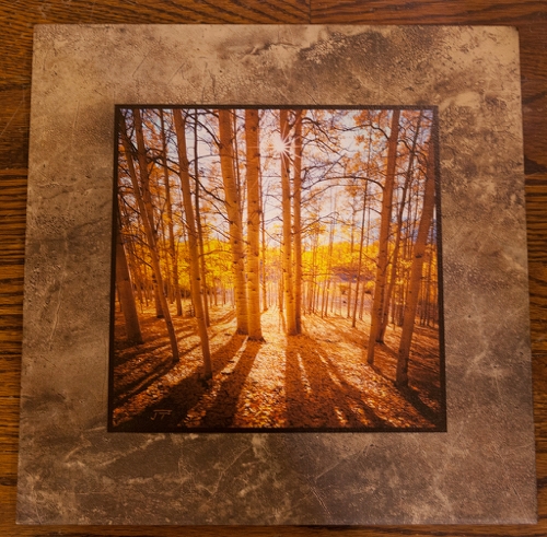 Click to view detail for Silver Jack 12x12 $90