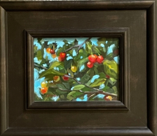 Click to view detail for Sour Cherries 6x8 $340