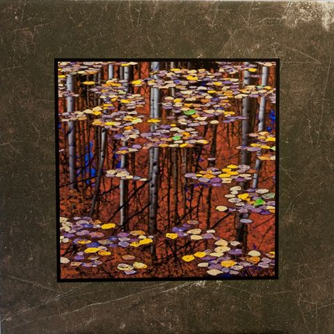 Click to view detail for Stained Glass 12x12 $90