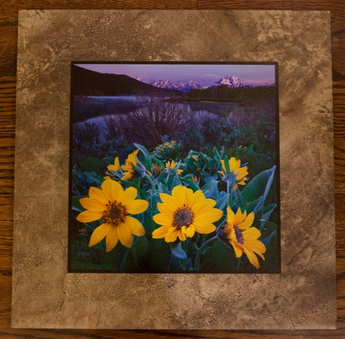Click to view detail for Summer Solitude 12x12 $98