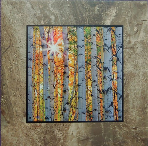 Click to view detail for Aspen Sunburst 2  12x12 $90