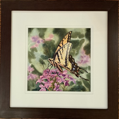 Click to view detail for Swallowtail 8x8 $448