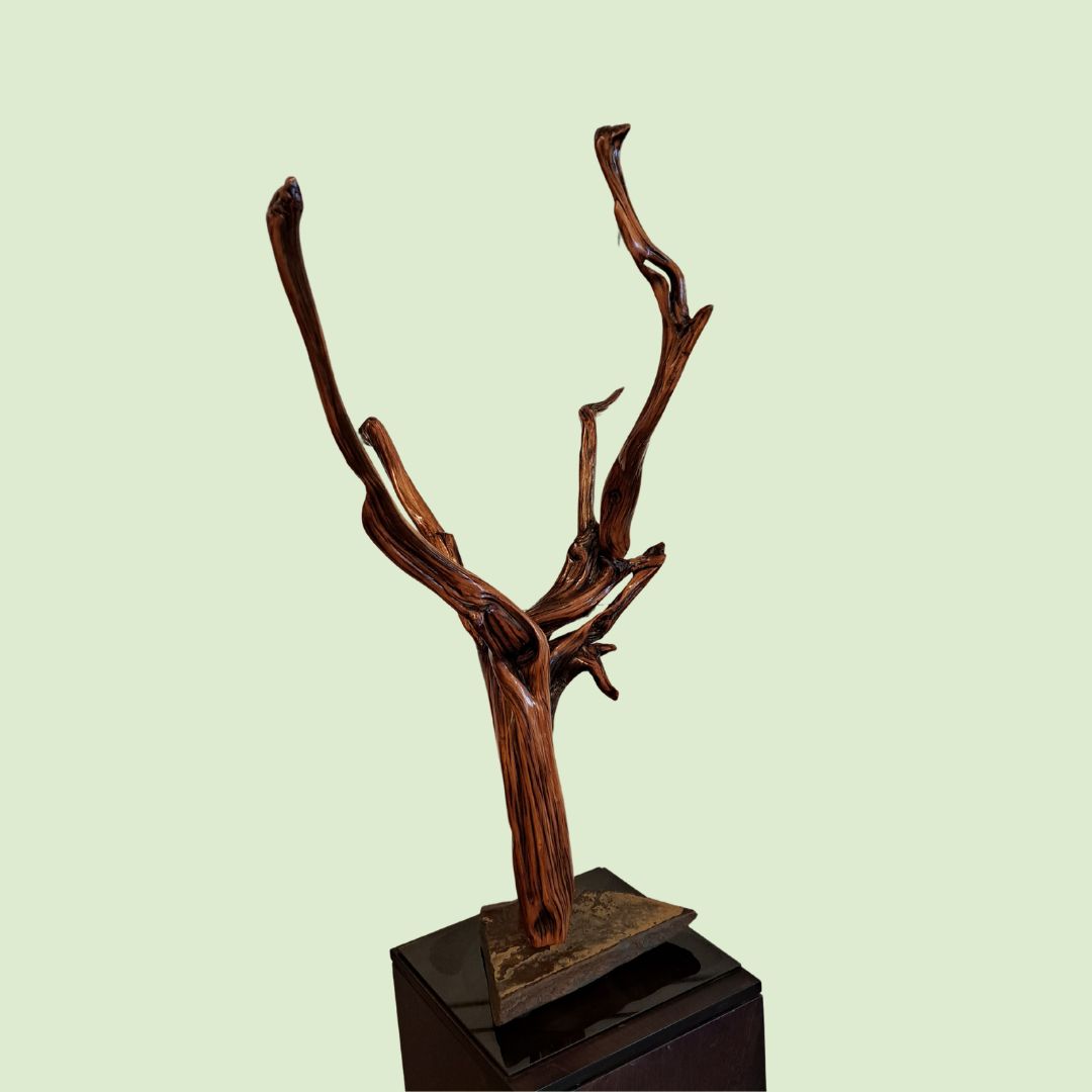 TC-009 Juniper Tree Sculpture 37.5T $215 at Hunter Wolff Gallery