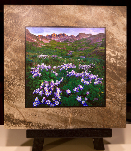 Click to view detail for Uncompahgre Columbine Stone Plaque 12x12 $90
