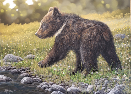 Walk This Way, Grizzly Cub 11x14 $850 at Hunter Wolff Gallery