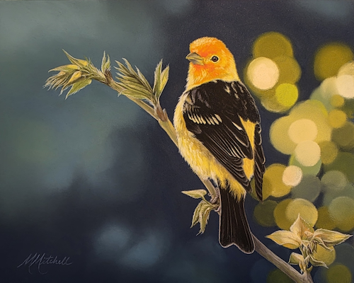 Western Tanager 8x10 $550 at Hunter Wolff Gallery