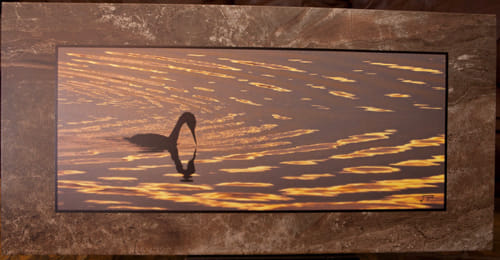 Click to view detail for Western Grebe Stone Plaque 12x24 $180