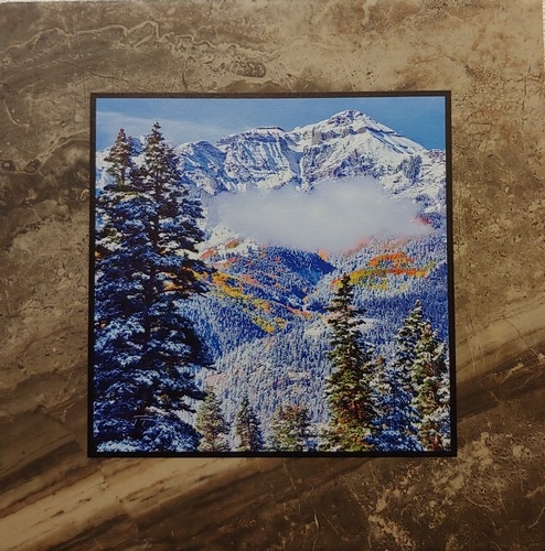 Click to view detail for Winter Dreams 12x12 $90