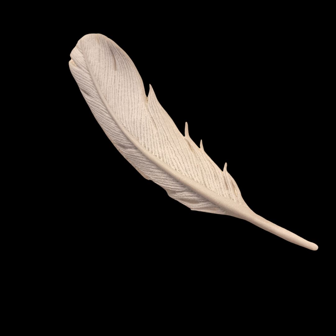 Click to view detail for LM-012 Dove Feather 7x1.75 $170